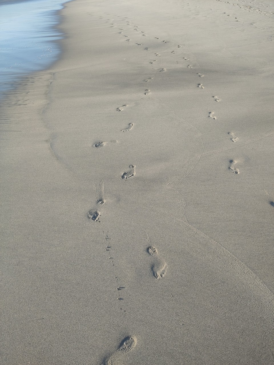 Ephemeral Footprints
