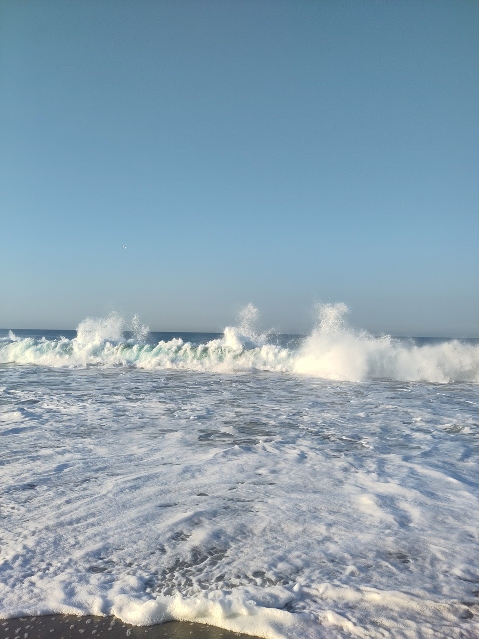 The sea explodes with a thundering roar