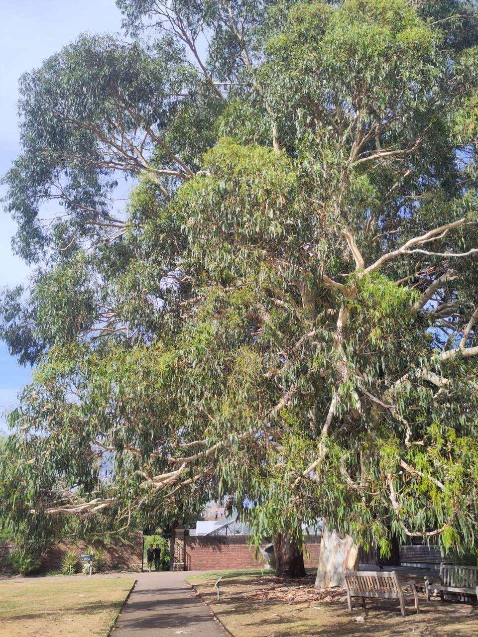Img 20250716 Wa0057 Img 20250716 Wa0057