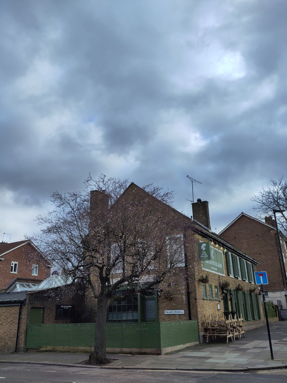 The Good Tree - Spring