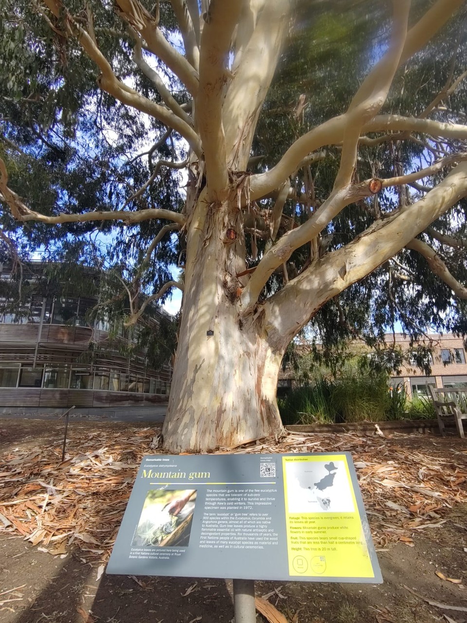 Img 20250716 Wa0055 Img 20250716 Wa0055